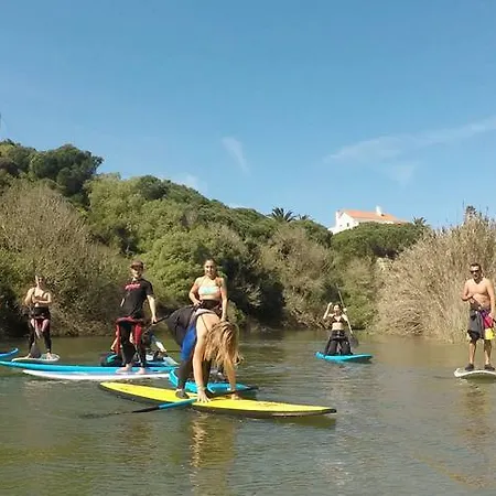 Golden Halcyon - Willa