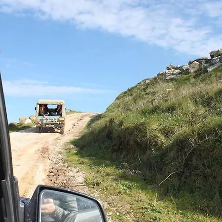 Golden Halcyon - Villa *