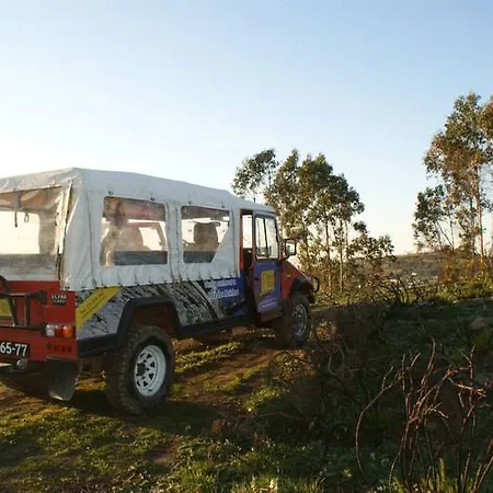 Golden Halcyon - * 埃里塞拉