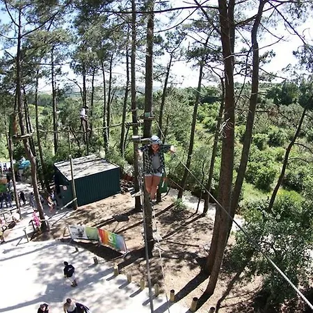 Golden Halcyon - Villa *