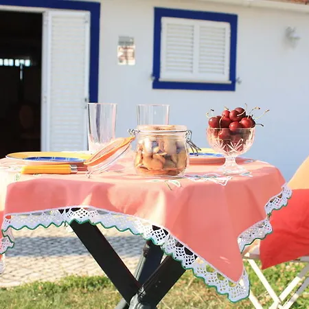 Golden Halcyon - * Ericeira