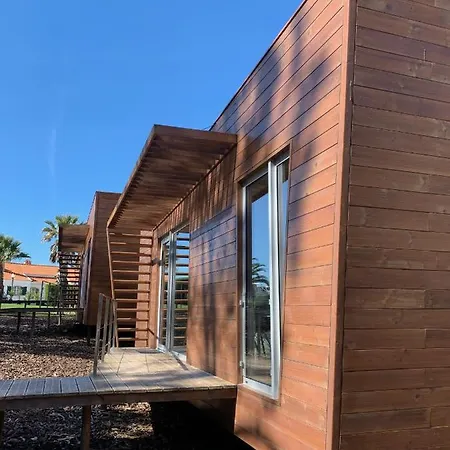 Golden Halcyon - Ericeira