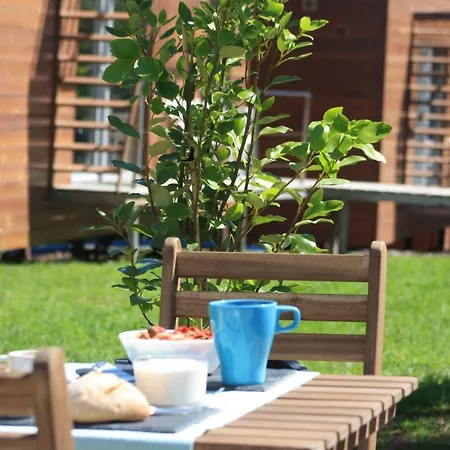 Golden Halcyon - * 埃里塞拉