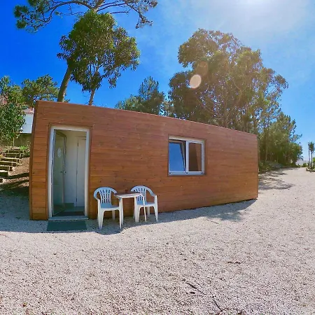 Willa Golden Halcyon -