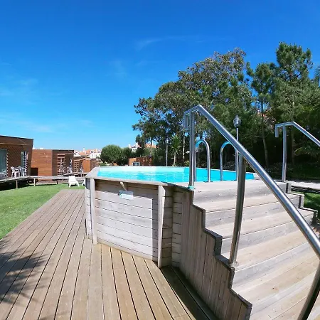 Golden Halcyon - * Ericeira