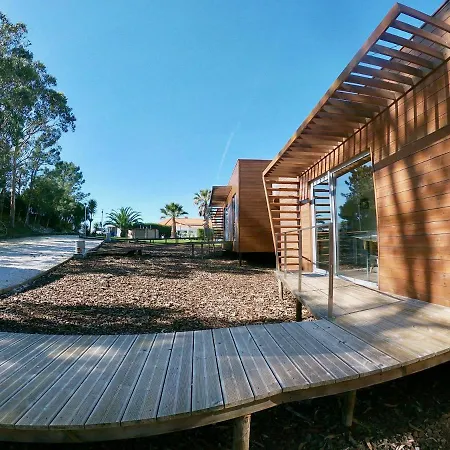 Golden Halcyon - Willa *