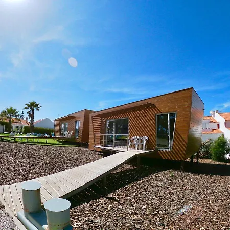 Willa Golden Halcyon -