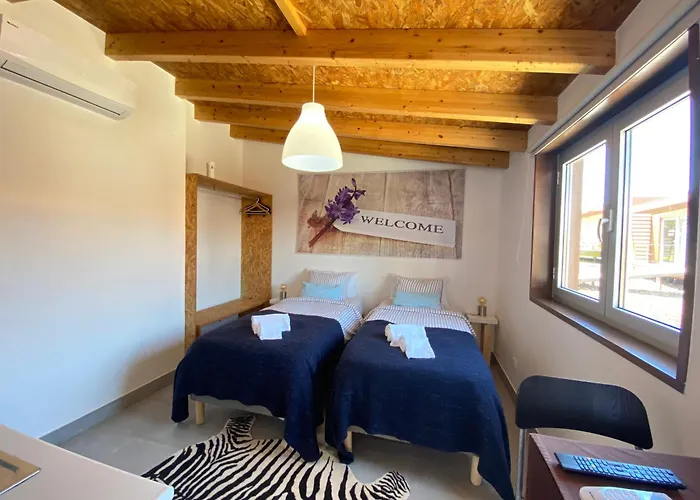 Golden Halcyon - * Ericeira