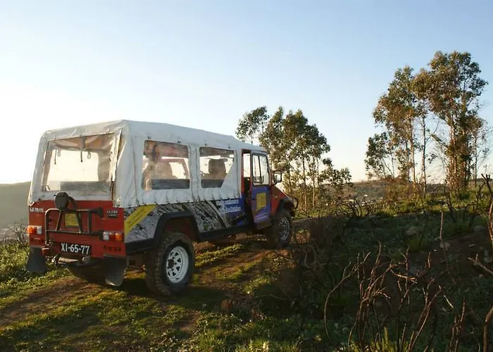 Golden Halcyon - * Ericeira