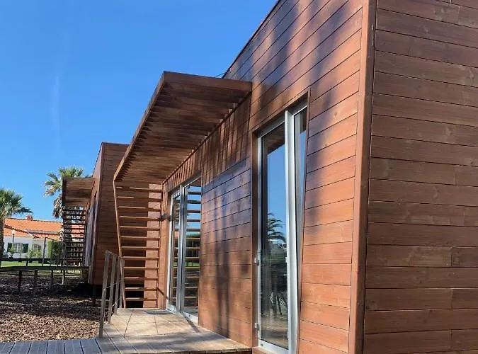 Golden Halcyon - Ericeira