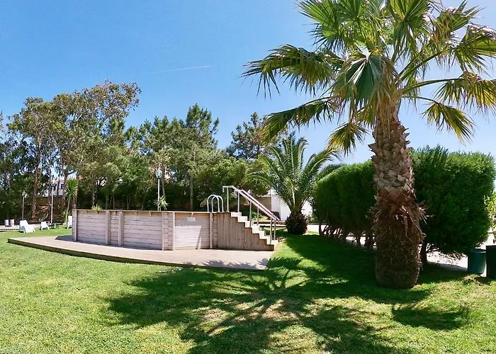 Golden Halcyon - Ericeira