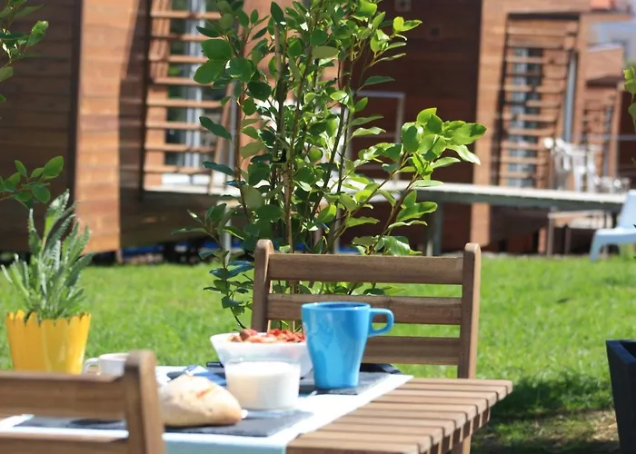 Golden Halcyon - * Ericeira