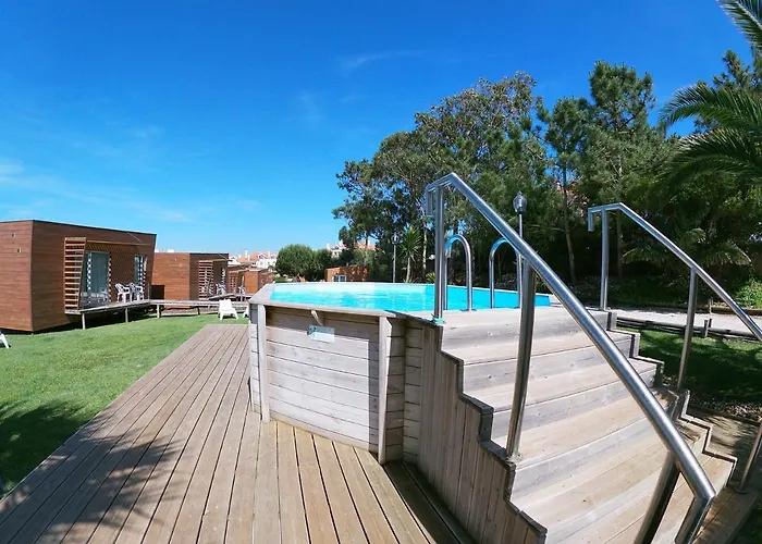 Golden Halcyon - * Ericeira